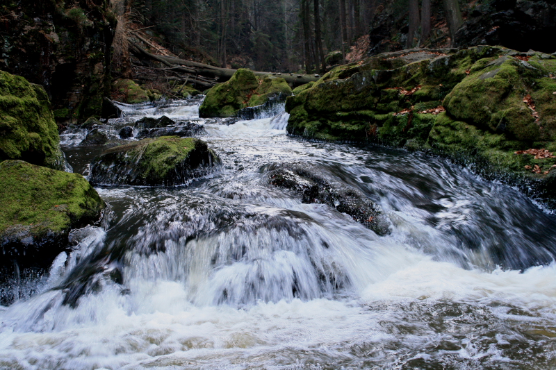 DPP_01901.JPG