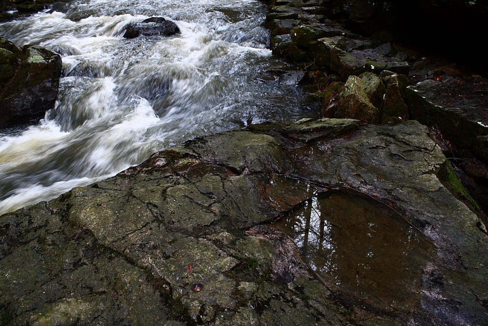 IMG_18631.JPG