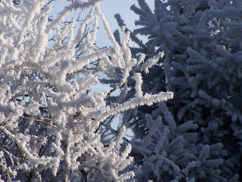 100_4752.JPG