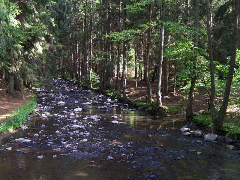 000_1457.JPG