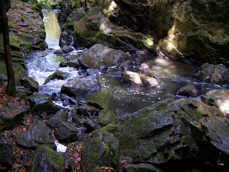 100_3177.JPG
