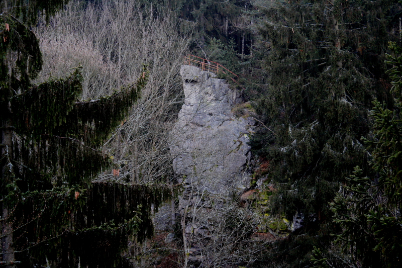 DPP_02231.JPG