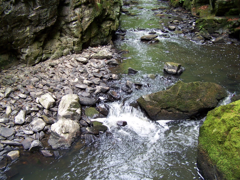 100_3264.JPG