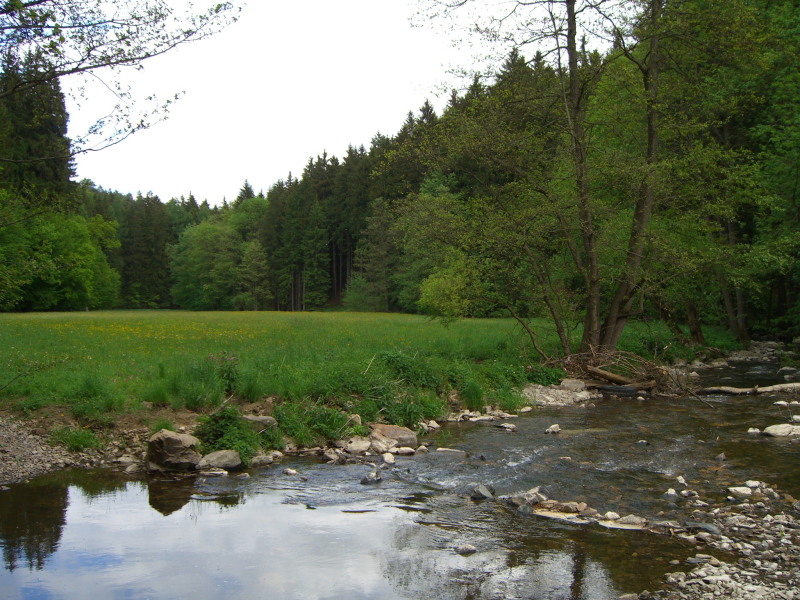 CIMG0334.JPG
