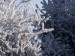 100_4752.JPG